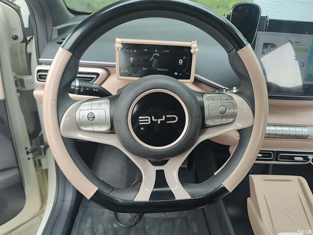BYD Seagull, 2024 11