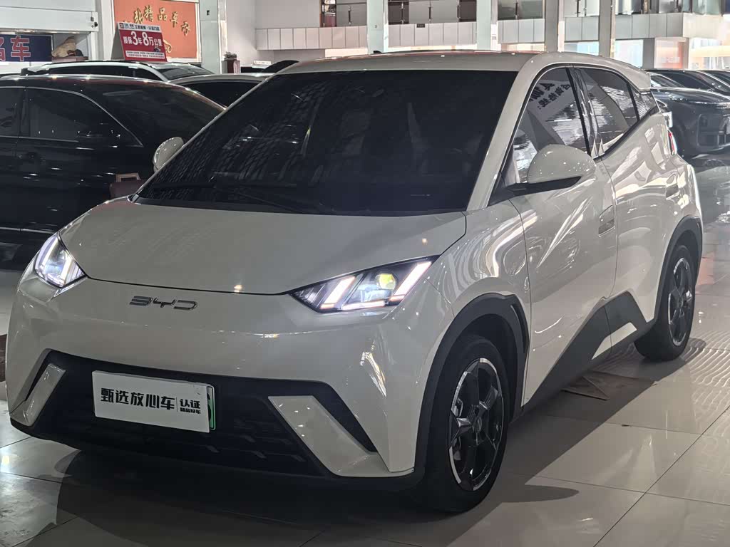 BYD Seagull