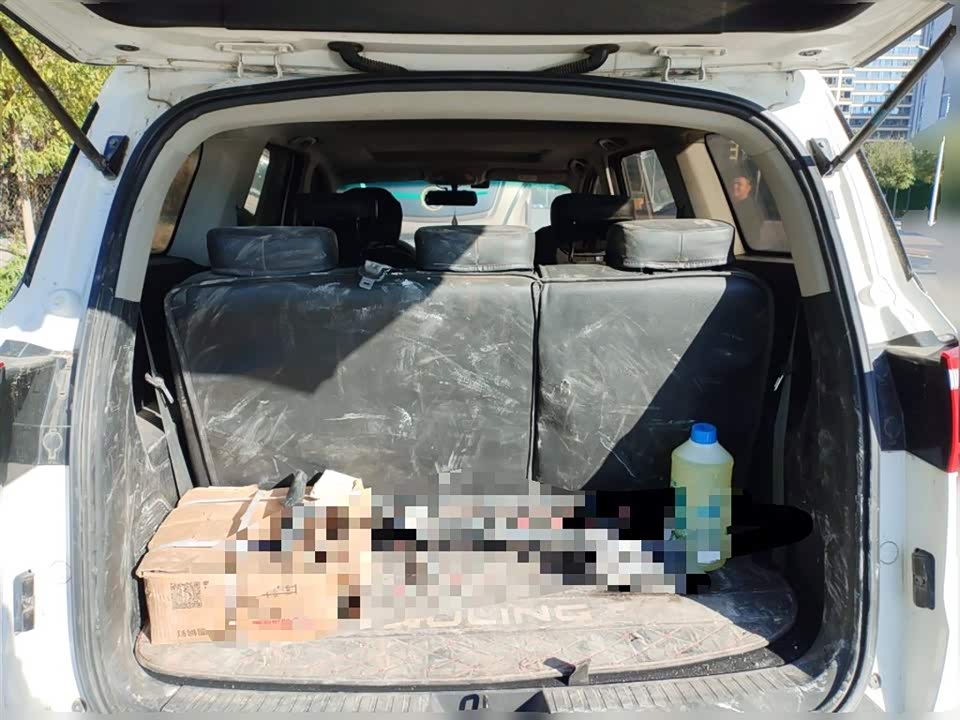 Wuling Wuling Hongguang S3