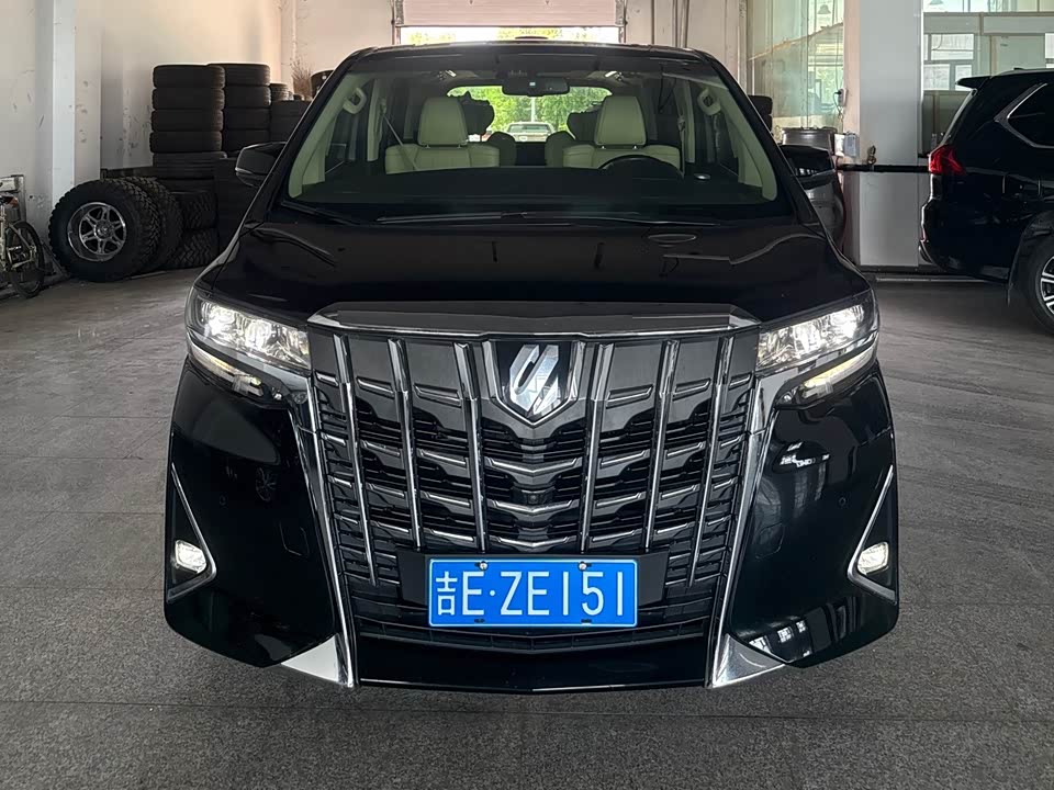 Toyota Elfa
