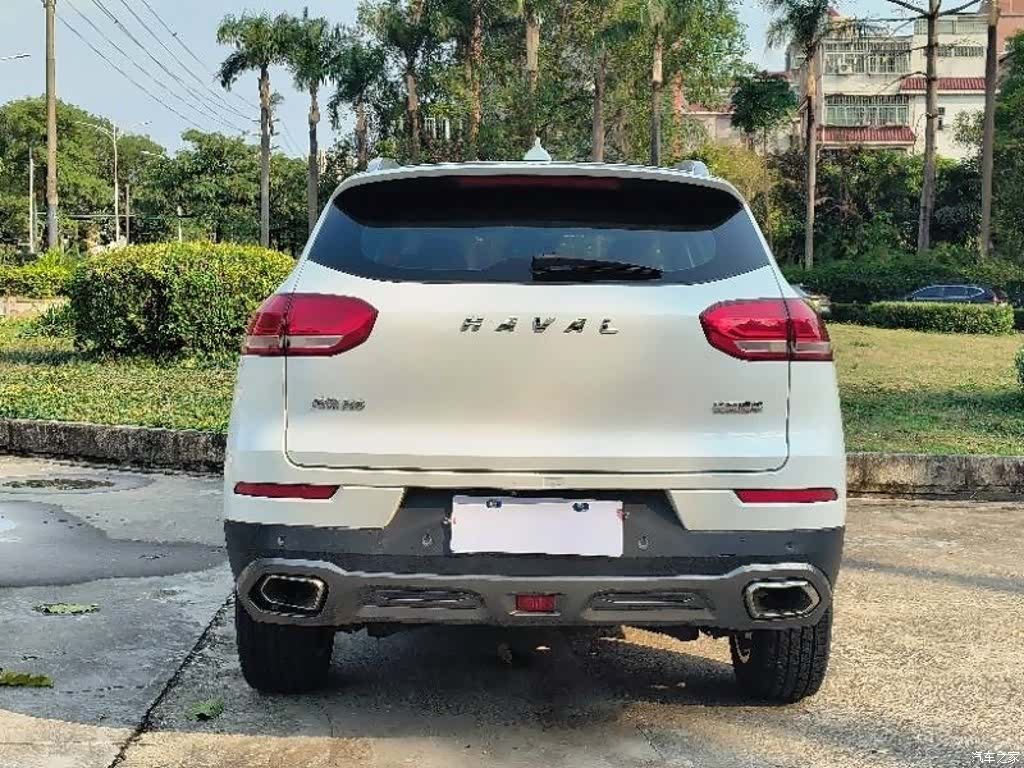 Haval H6, 2019 все фото