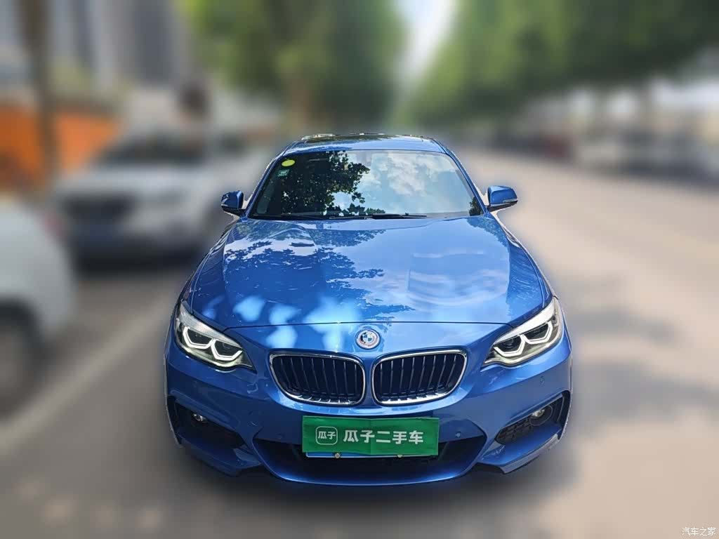 BMW 2 Series, 2019 24