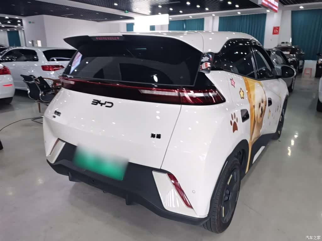BYD Seagull, 2024 7