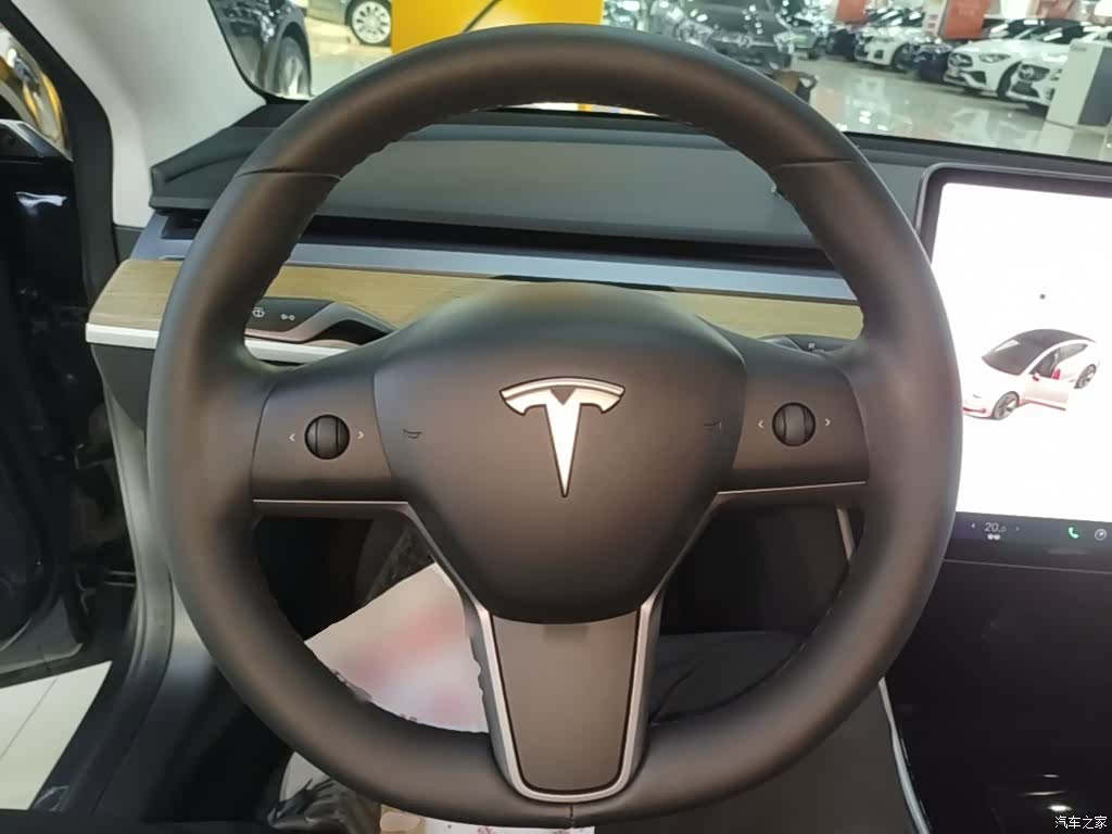 Tesla Model 3, 2020 11