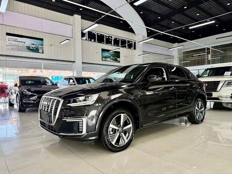 Audi Q2L