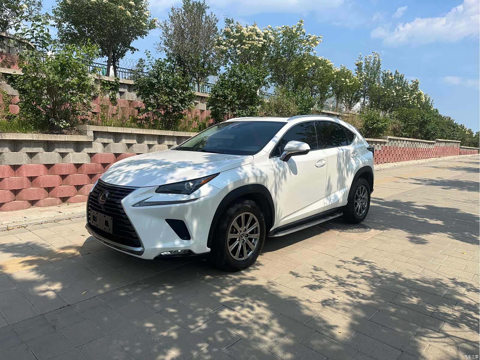 Lexus NX, 2021 1