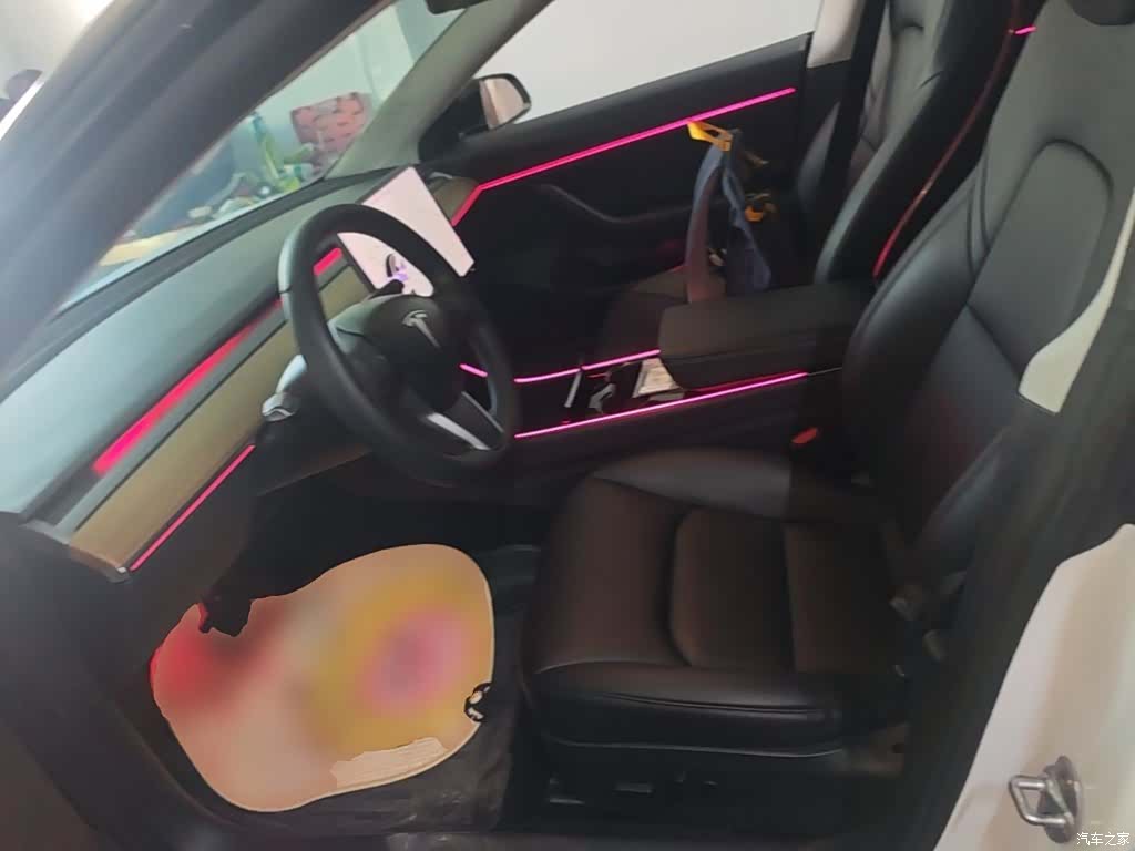 Tesla Model 3, 2020 15