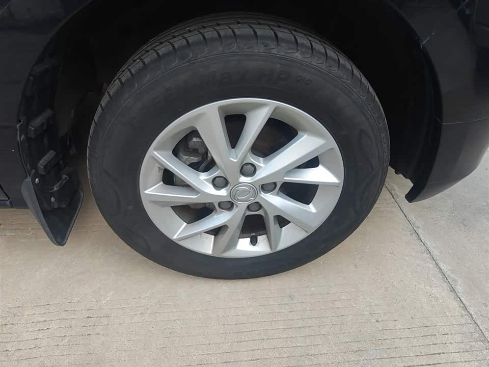 Forthing Lingzhi PLUS