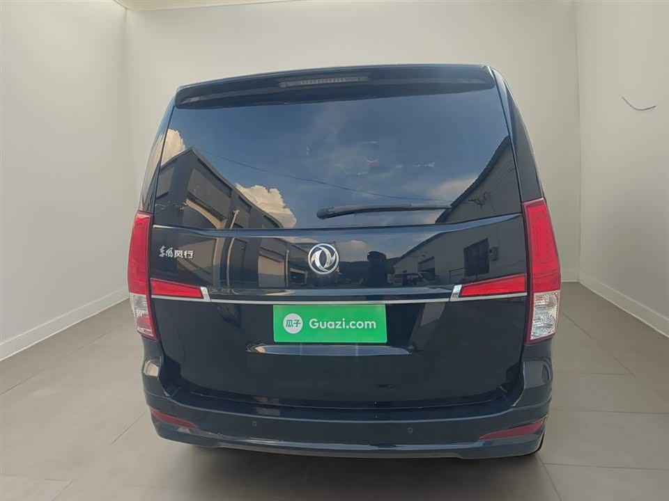 Forthing Lingzhi PLUS