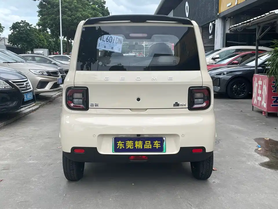 Geely Galaxy panda