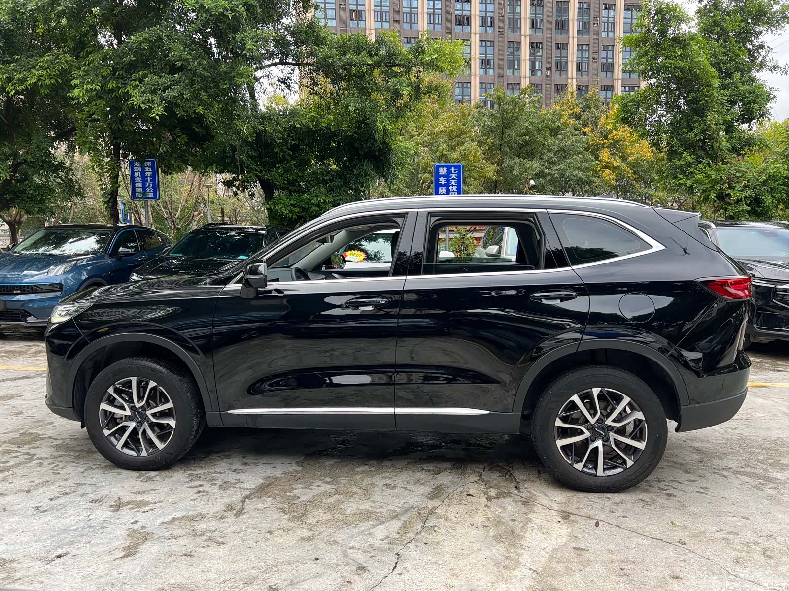 Haval H6, 2024 6