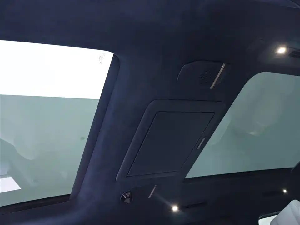 Zeekr 009