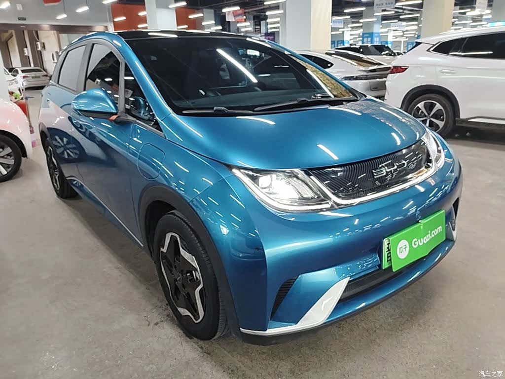 BYD Dolphin, 2023 4