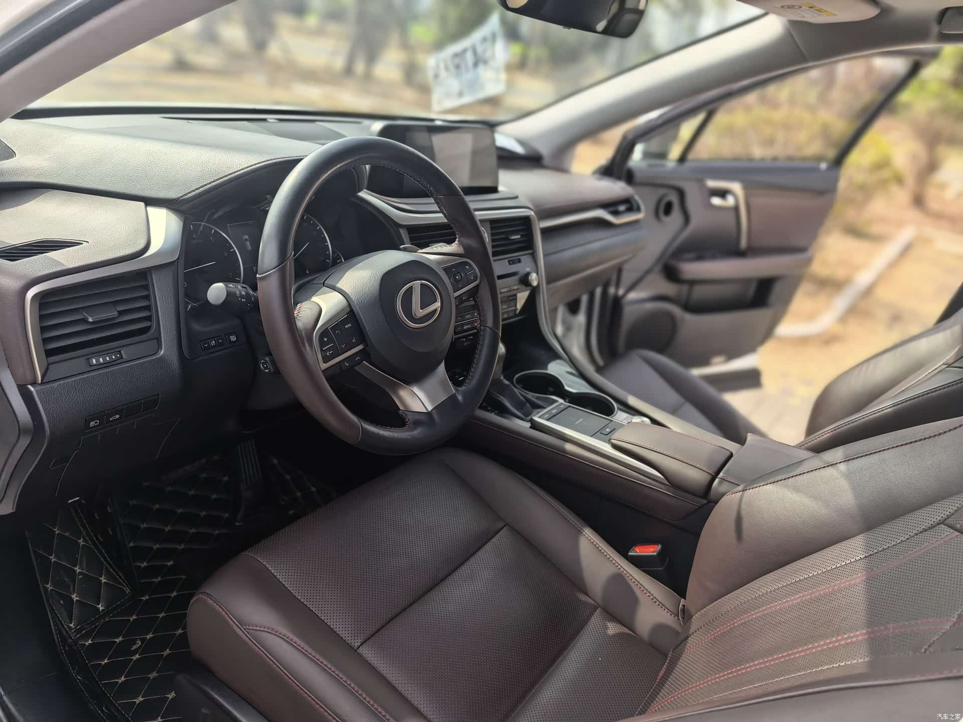 Lexus RX, 2019 10
