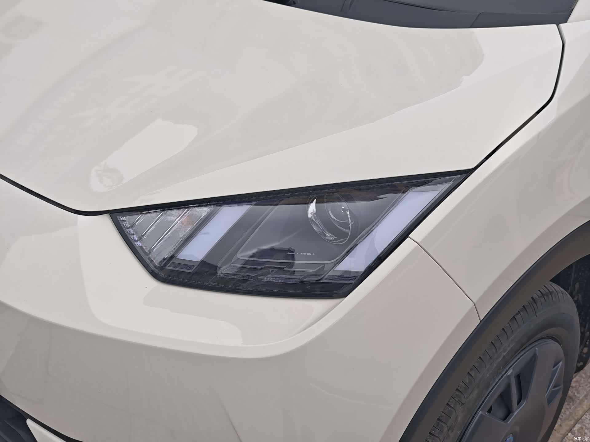 BYD Seagull, 2026 14
