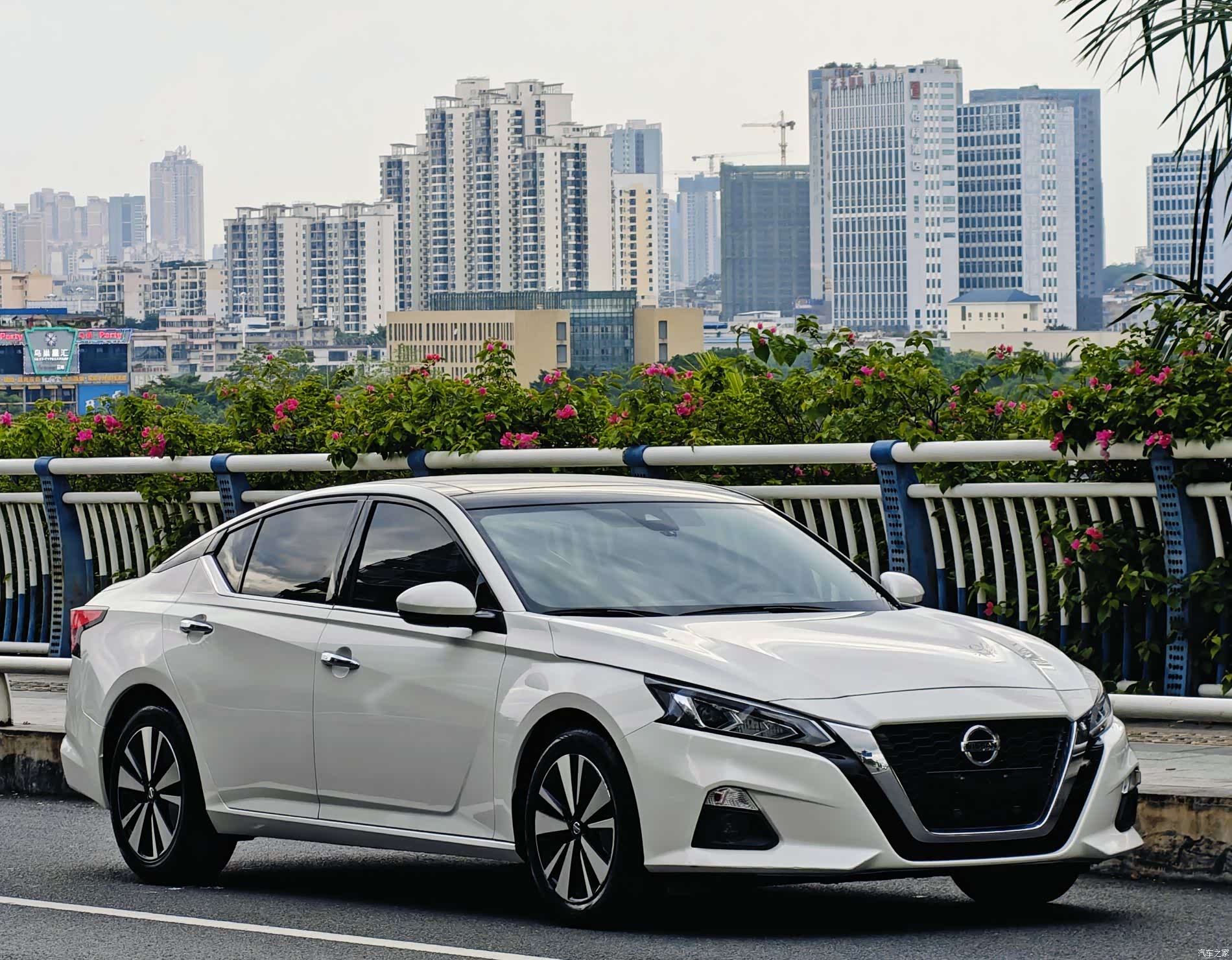 Nissan Teana, 2020 3