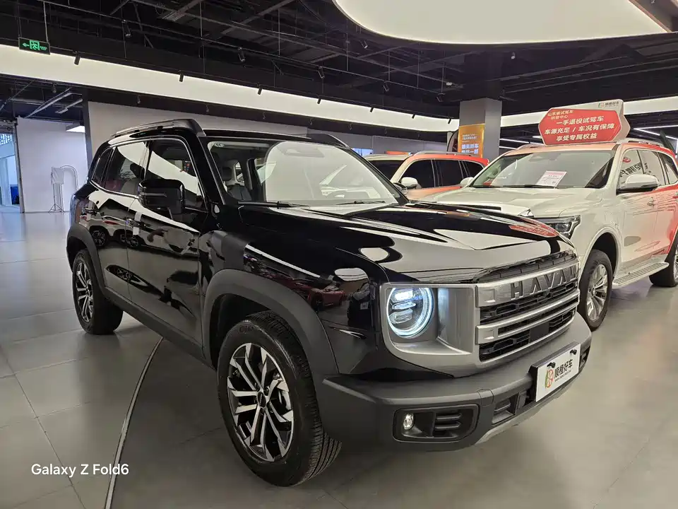 Haval Big dog
