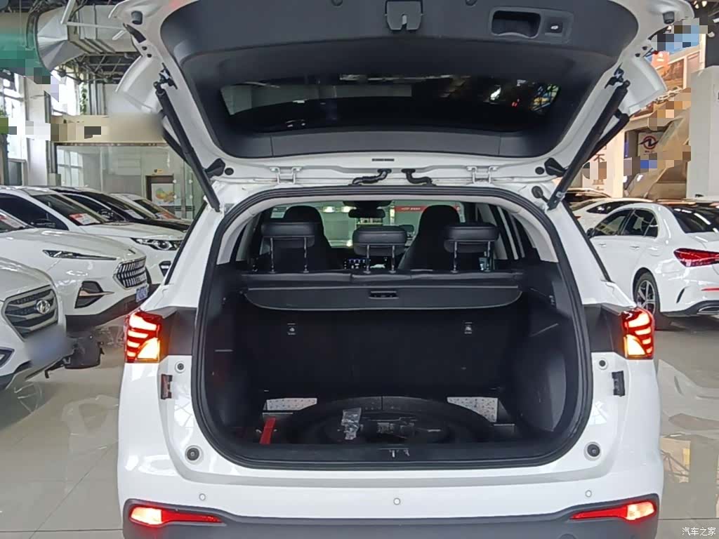 GAC GS4, 2022 19