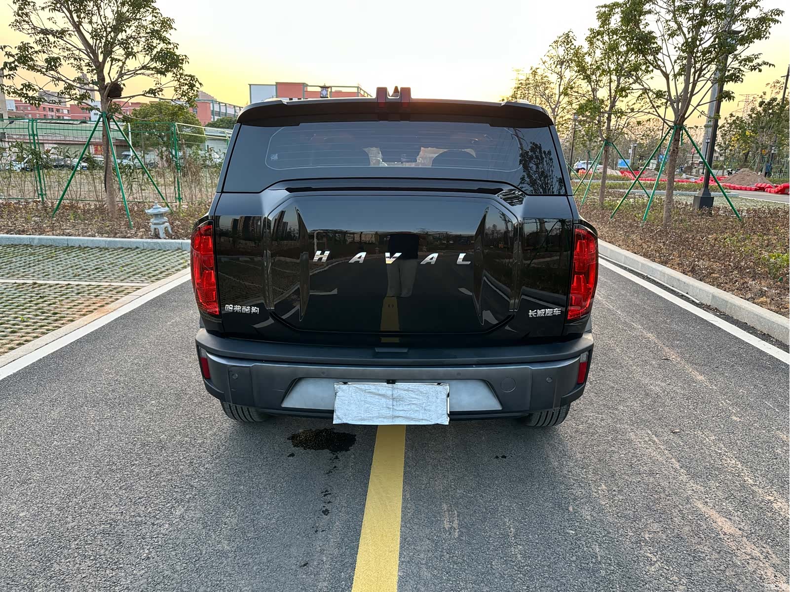 Haval Cool Dog, 2022 25