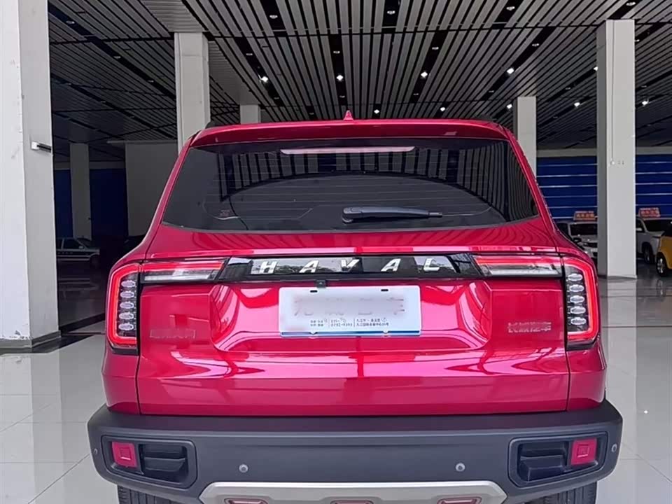 Haval Big dog