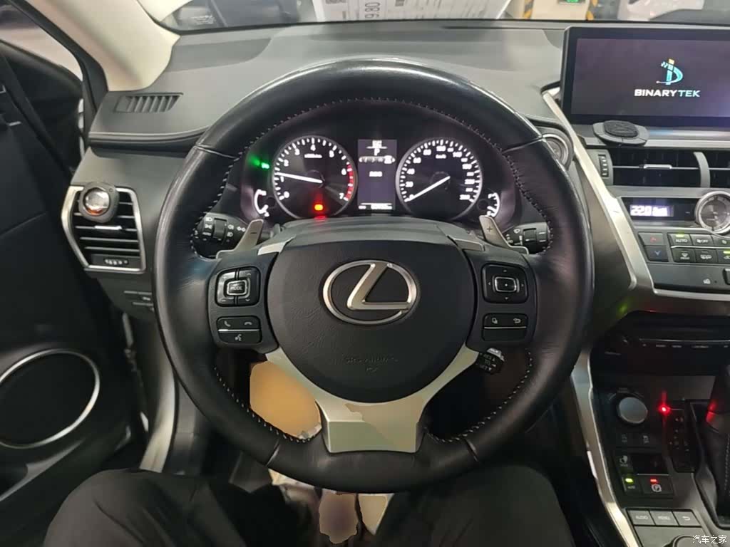 Lexus NX, 2015 11