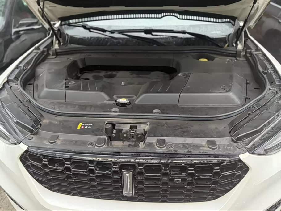 Weipai VV6