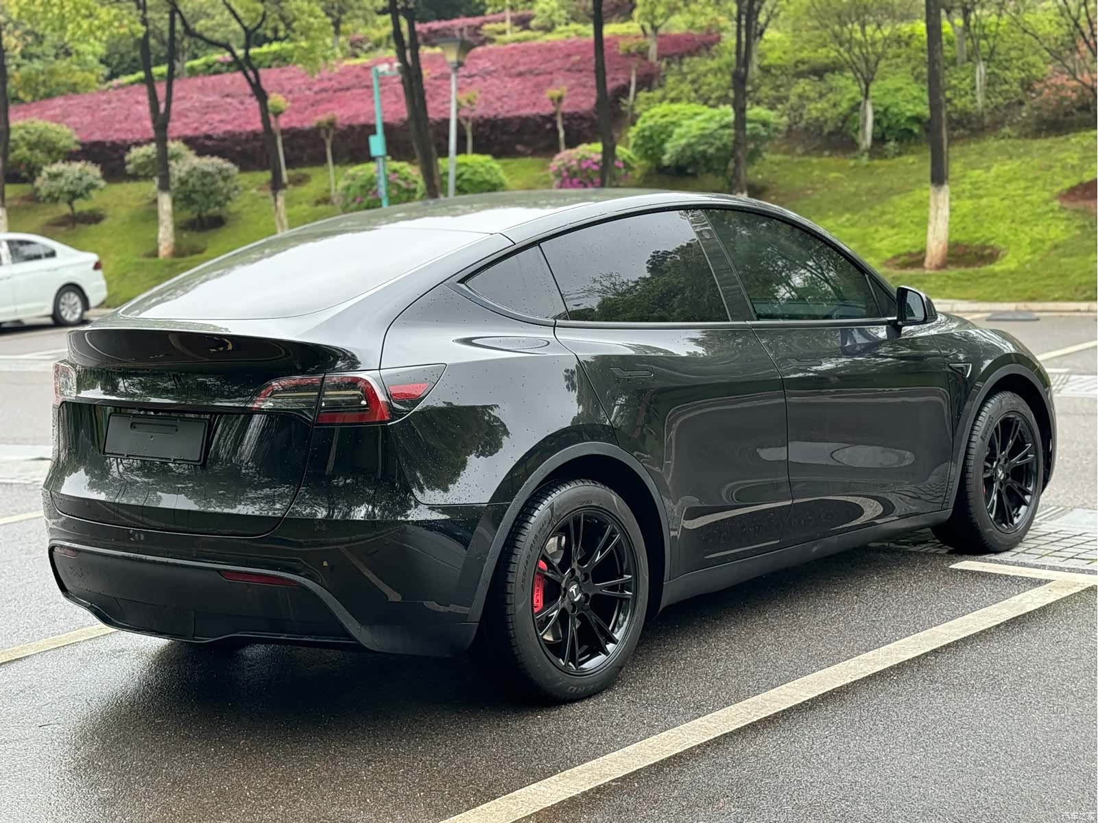 Tesla Model Y, 2023 все фото