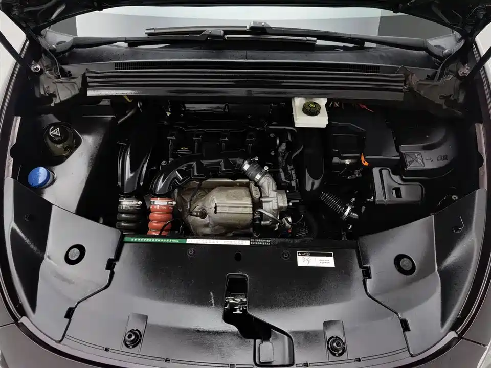 DS 5