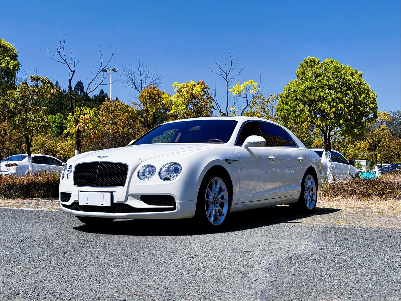Bentley Flying Spur, 2020 4
