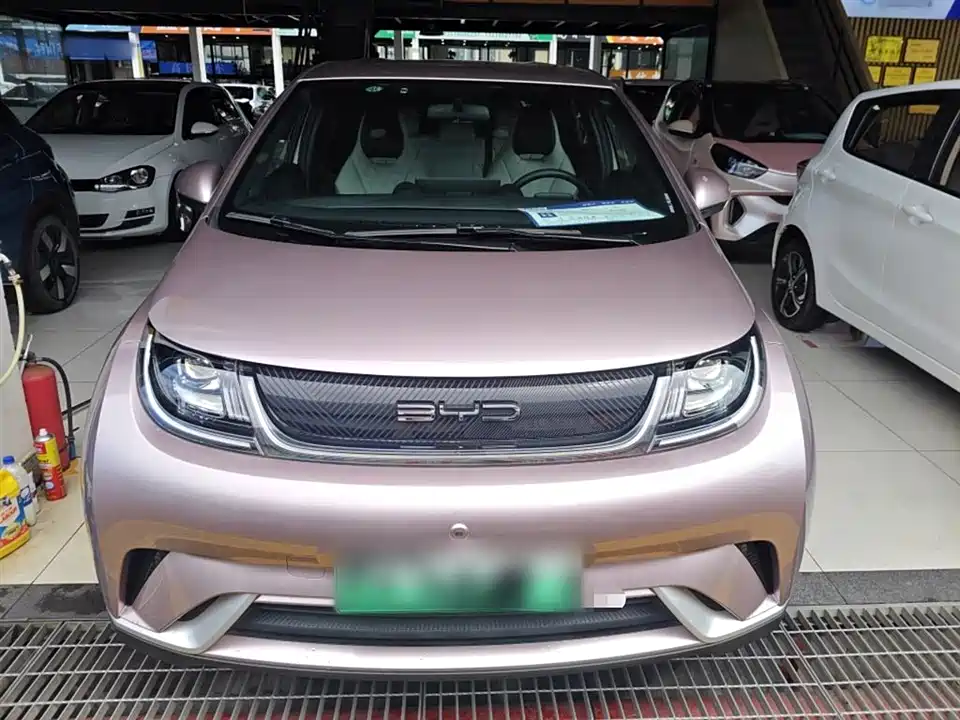 BYD dolphin