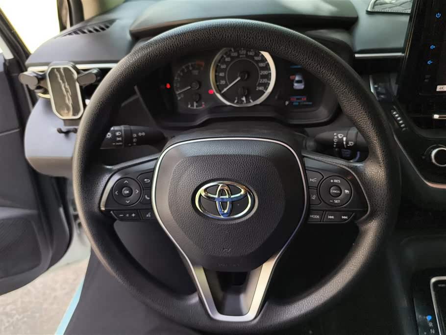 Toyota Asian lion