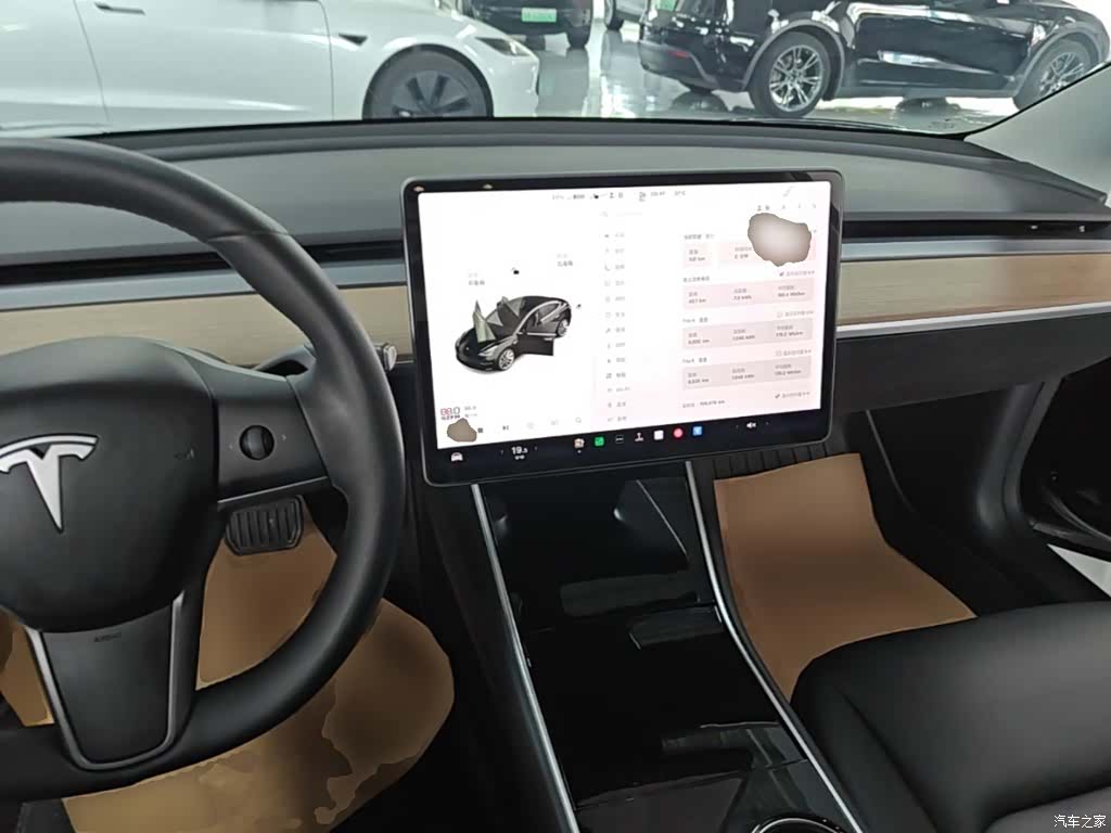 Tesla Model 3, 2020 10