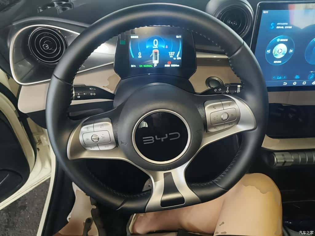 BYD Dolphin, 2024 7