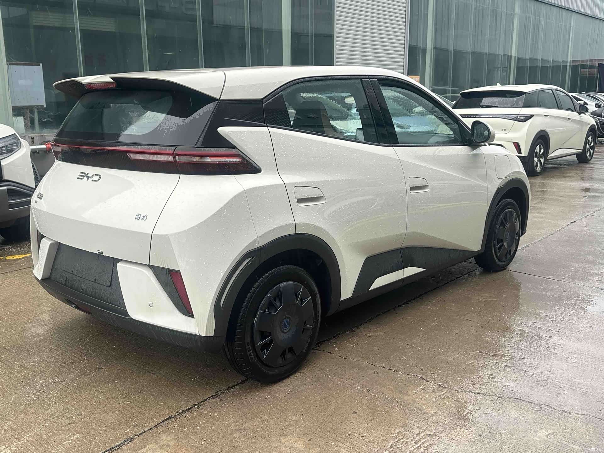BYD Seagull, 2026 4