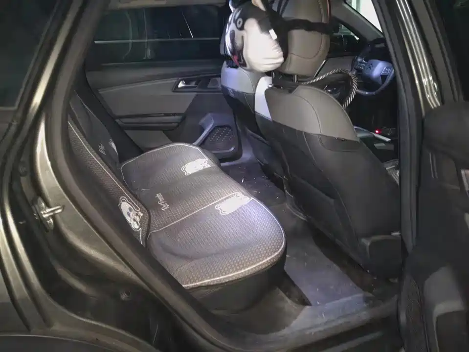 Citroen Versailles C5 X