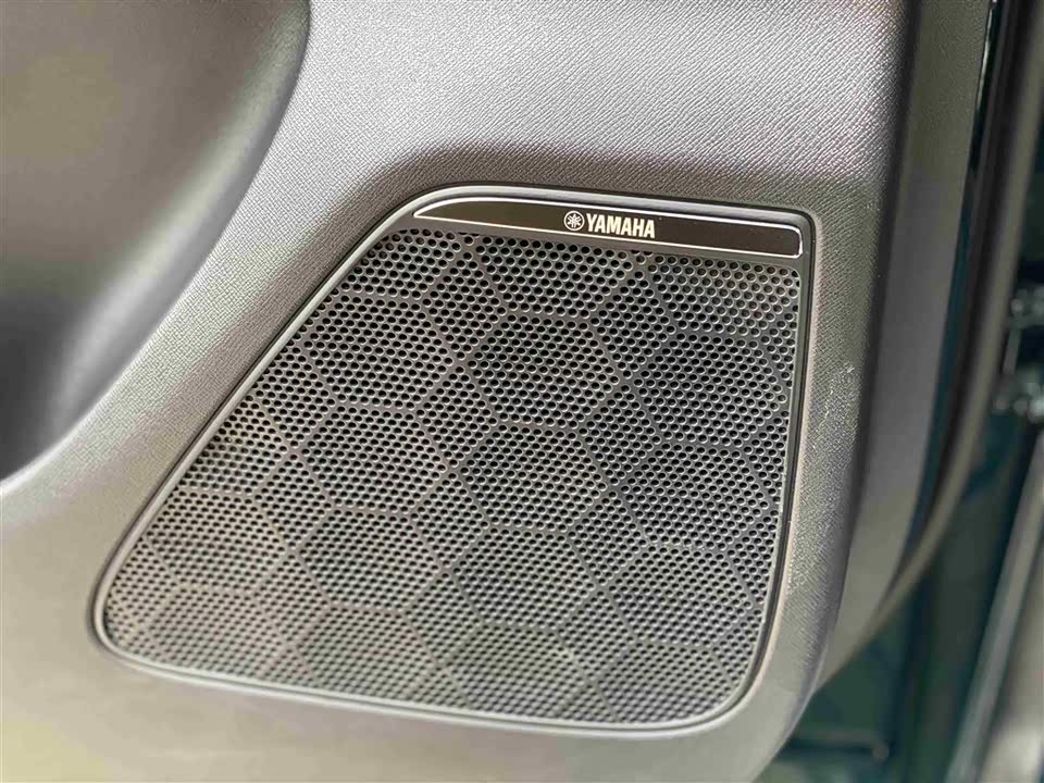 Trumpchi Trumpchi M8 Trumpchi Trumpchi M8
