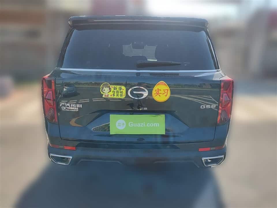 Trumpchi Trumpchi GS8