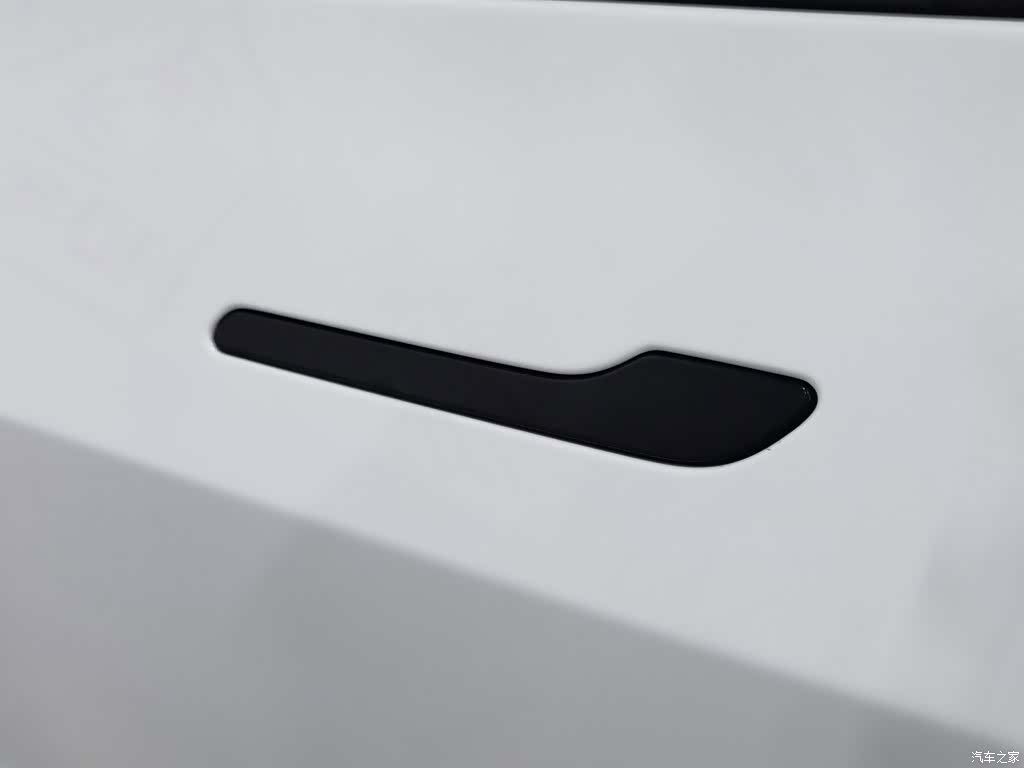 Tesla Model 3, 2021 18