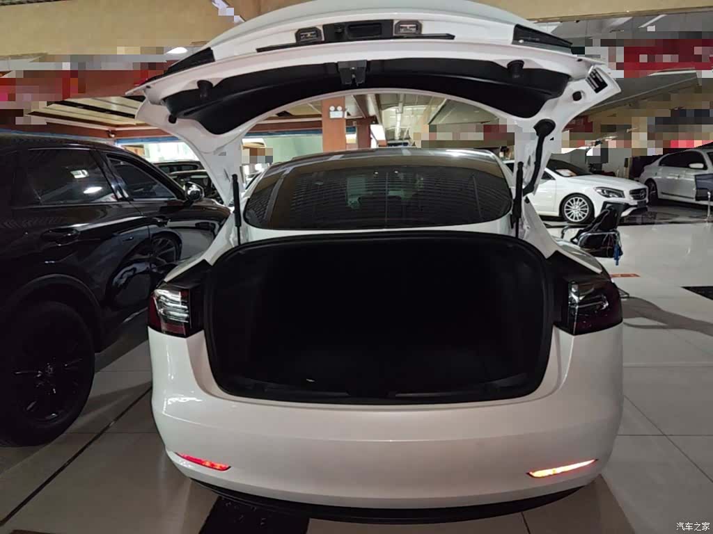 Tesla Model 3, 2020 19