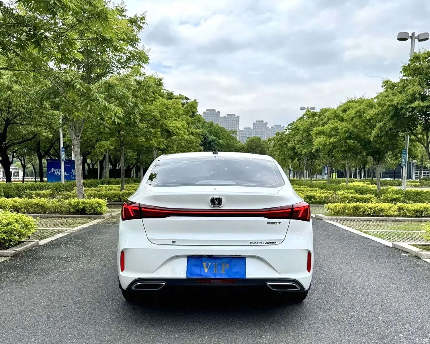 Changan Eado, 2022 все фото