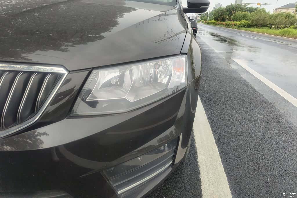 Skoda Octavia, 2016 все фото