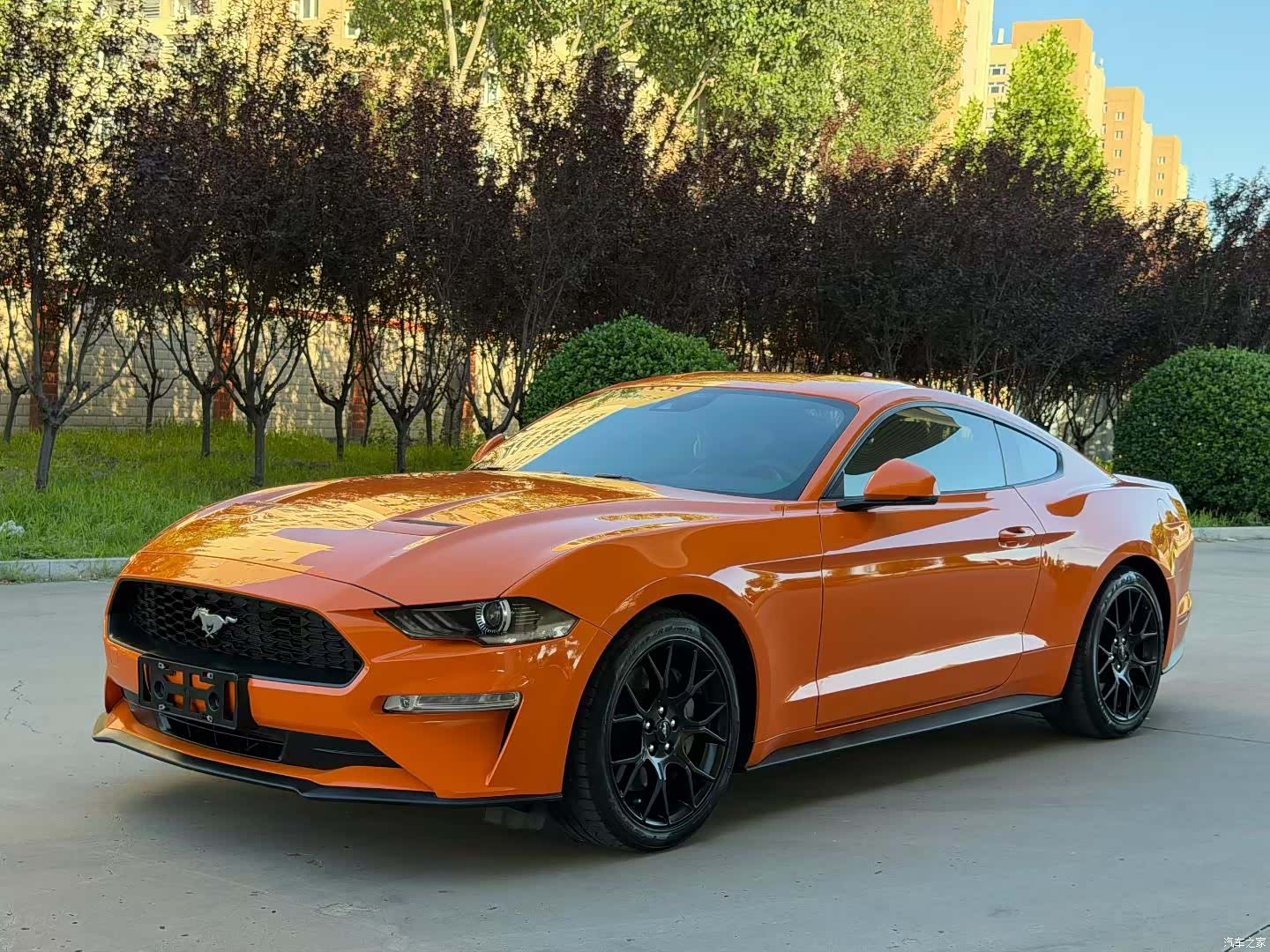 Ford Mustang, 2022 3