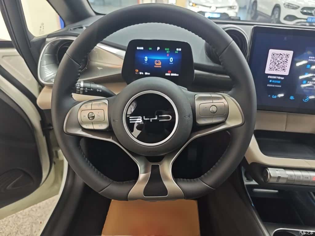 BYD Dolphin, 2024 11