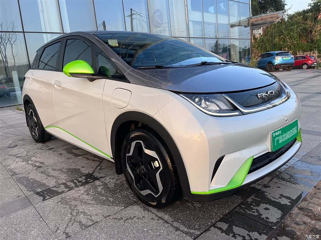 BYD Dolphin, 2021 6