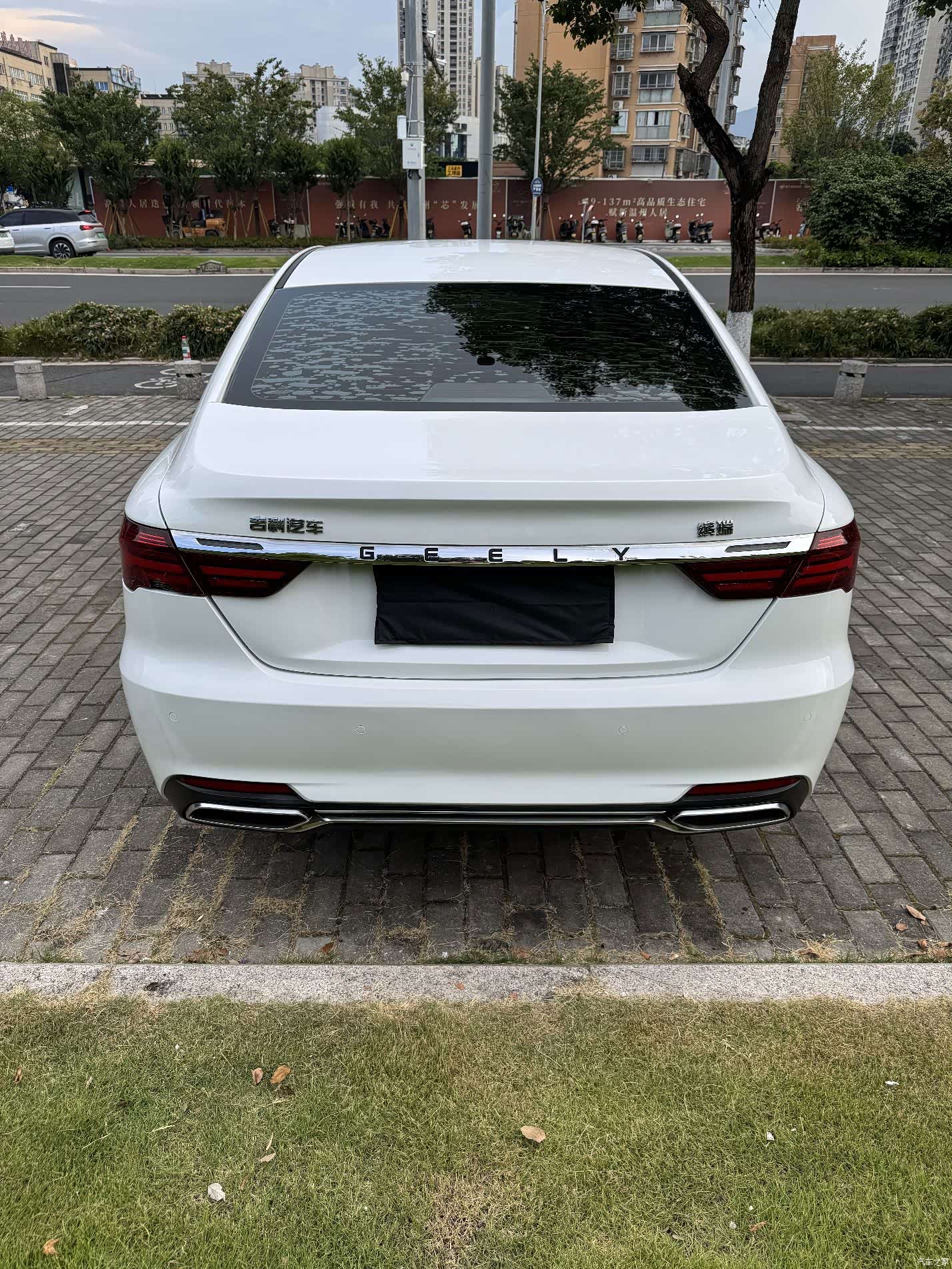 Geely Binray, 2020 7