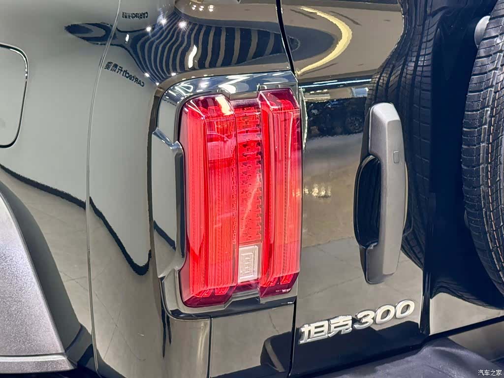 Tank 300, 2024 9