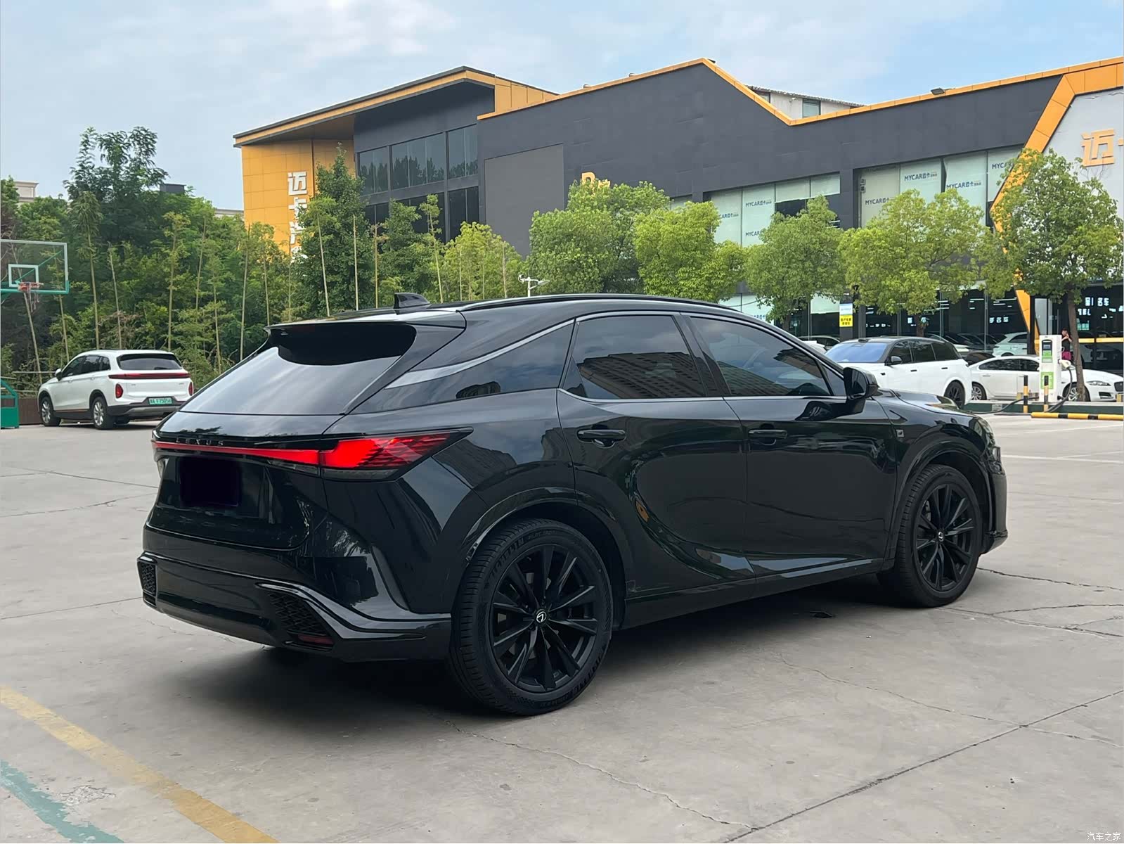 Lexus RX, 2023 9
