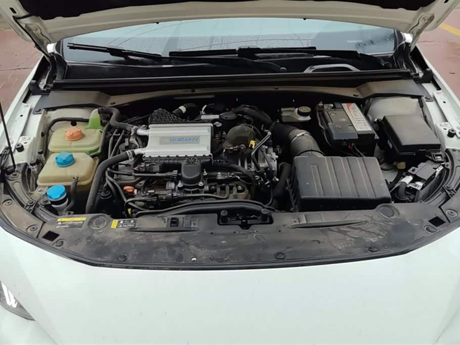 Trumpchi Shadow Leopard