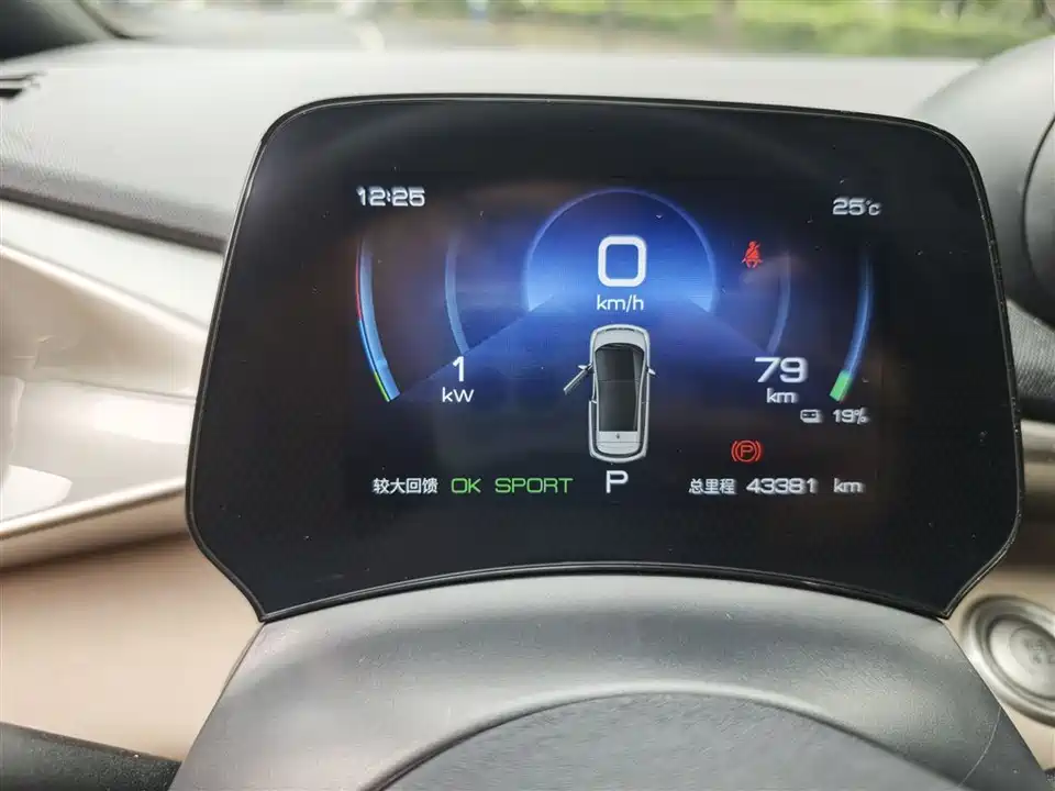 BYD dolphin