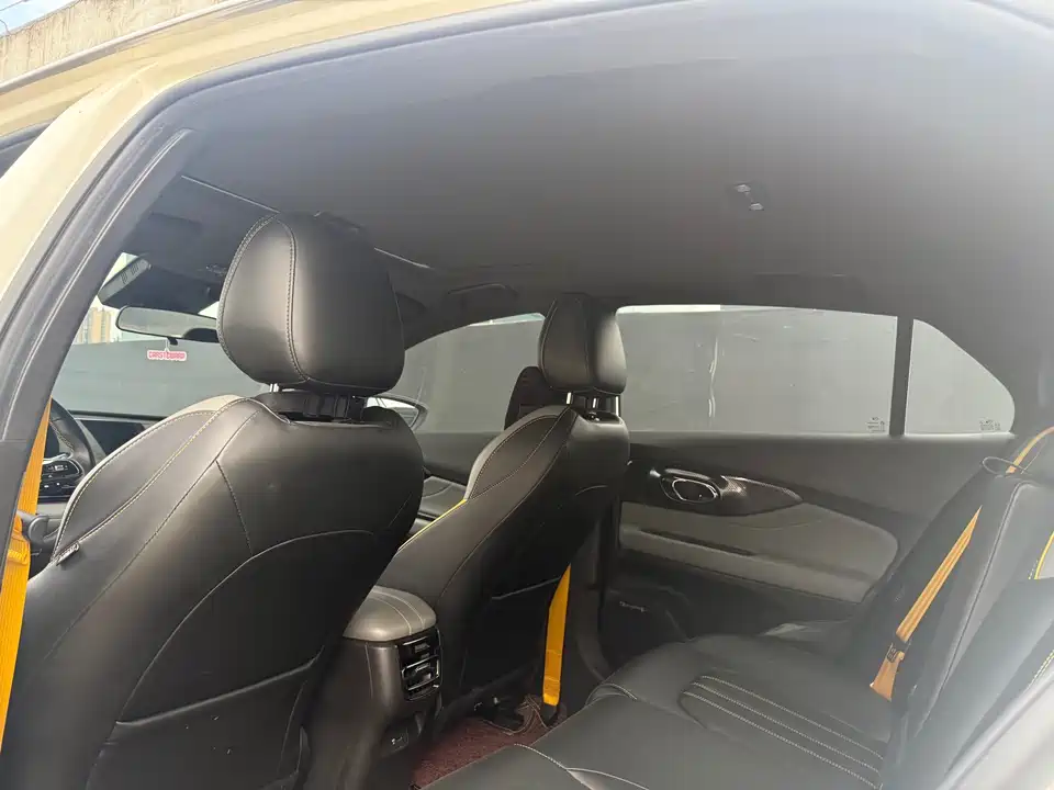 Trumpchi Shadow Leopard